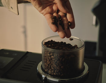 Turn. Change. Drink.